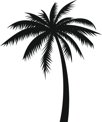 Palm Tree